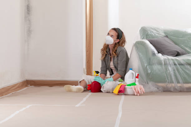 Reliable Attic Mold Removal contractor in Elizabeth City, NC by WQB Mold Removal