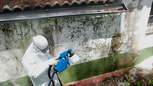 Top rated local Attic Mold Removal specialists in Elizabeth City, NC